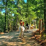 אתר קמפינג Parque Biologico De
