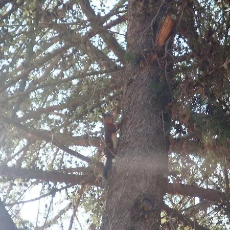 Κάμπινγκ Parque Biologico De Vinhais