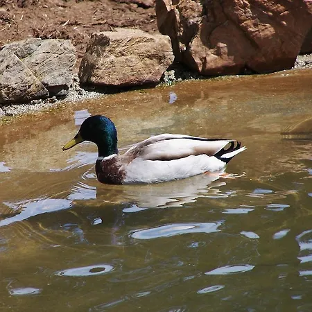 Campingplatz Parque Biologico De Vinhais