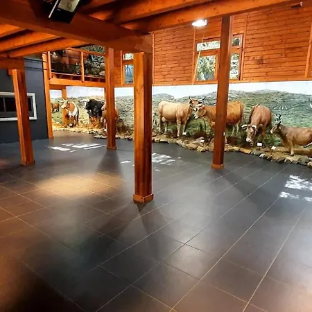 Parque Biologico De Кемпинг Виньяйш