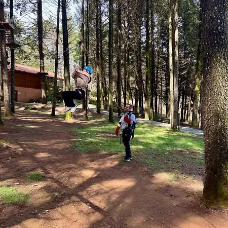 Parque Biologico De Кемпинг
