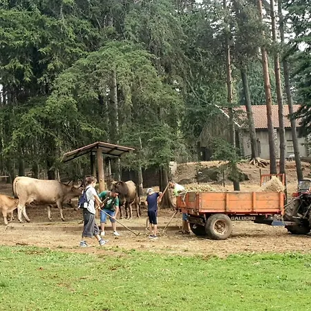 Parque Biologico De Campingplatz Vinhais