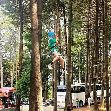 Parque Biologico De Кемпинг Виньяйш