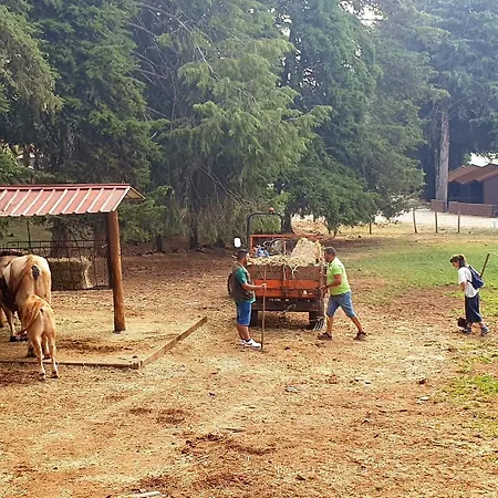 Кемпинг Parque Biologico De Виньяйш