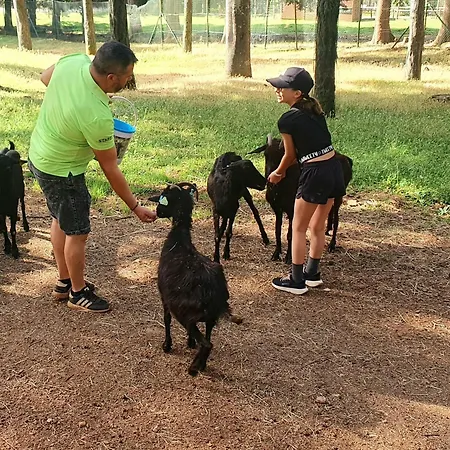 캠프장 Parque Biologico De