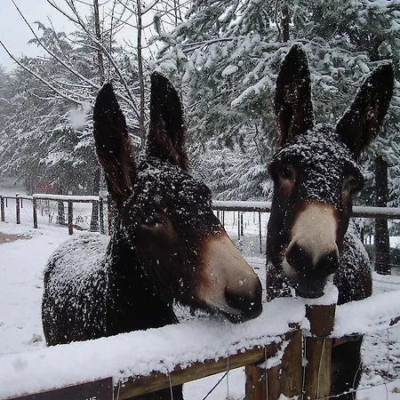 Campingplatz Parque Biologico De