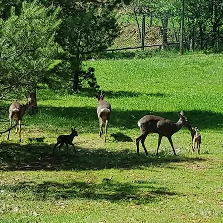 Parque Biologico De