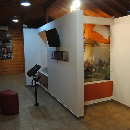 Campsite Parque Biologico De 3*