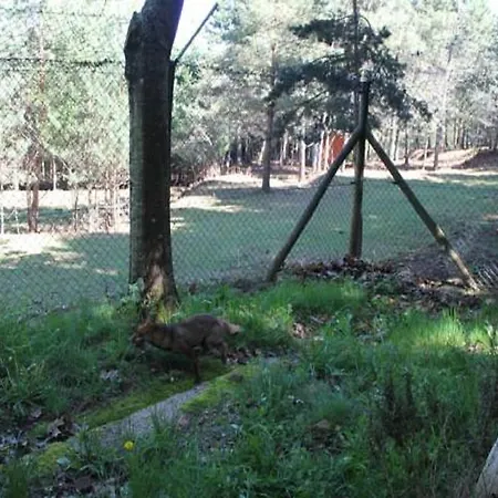 Parque Biologico De Campingplatz 3*