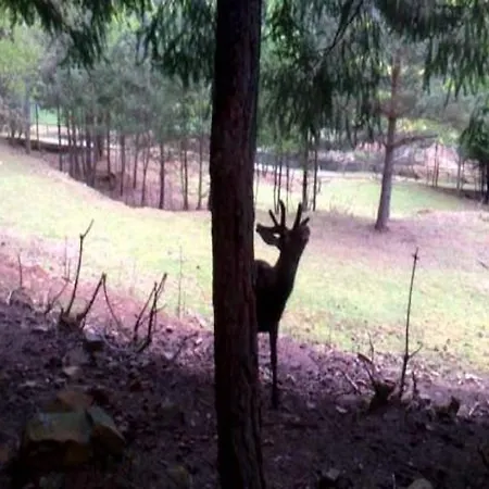 Parque Biologico De 3*