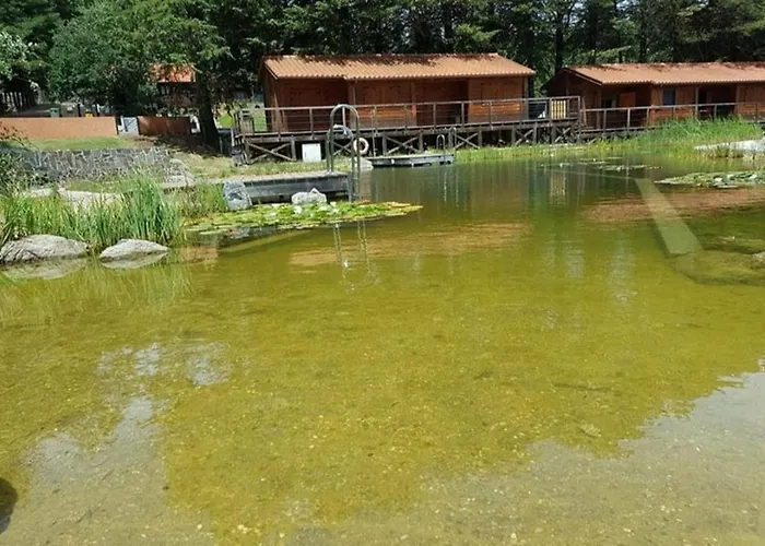 Parque Biologico De Кемпинг Виньяйш