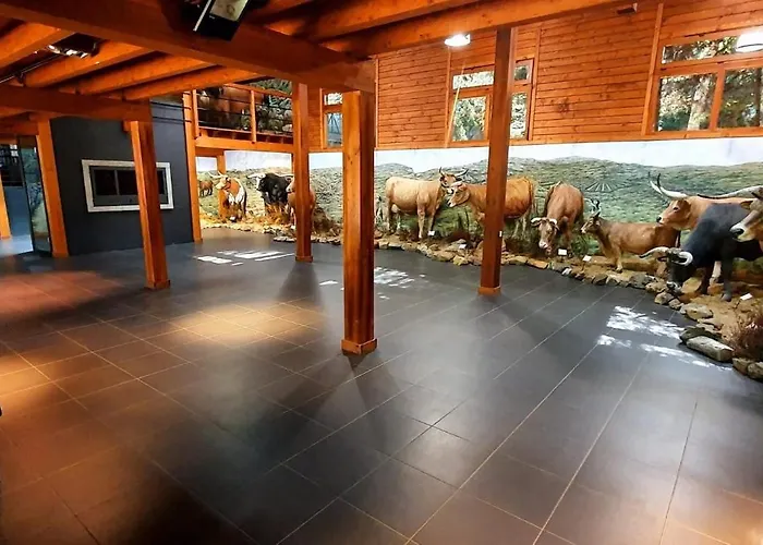 Parque Biologico De Кемпинг Виньяйш