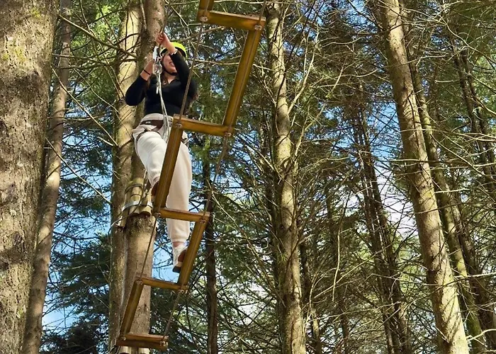 Parque Biologico De 비냐이스