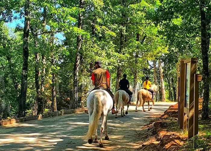 Кемпинг Parque Biologico De
