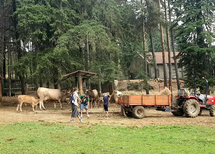 Parque Biologico De Кемпинг Виньяйш