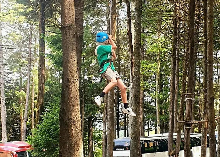 Parque Biologico De 캠프장 비냐이스