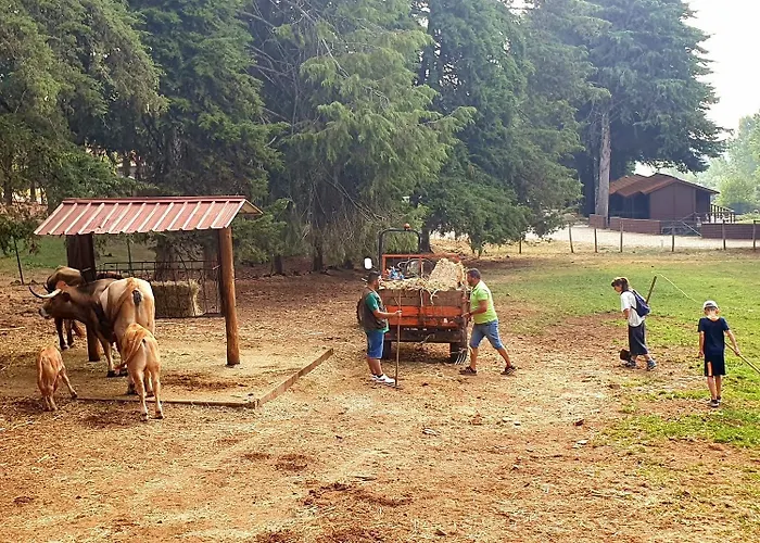 캠프장 Parque Biologico De 비냐이스