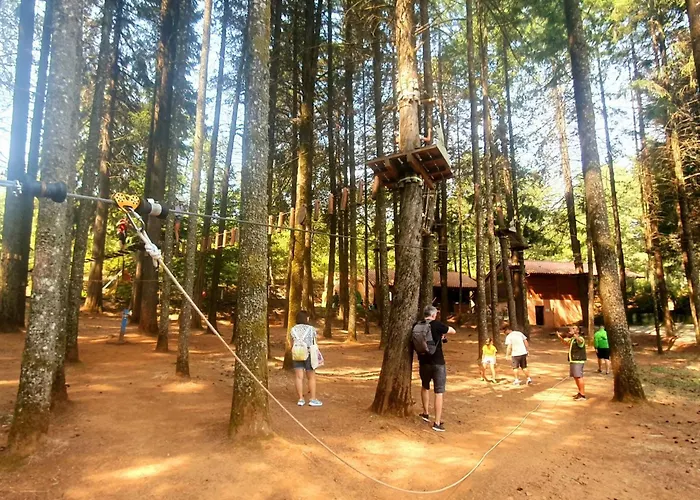 Parque Biologico De 캠프장