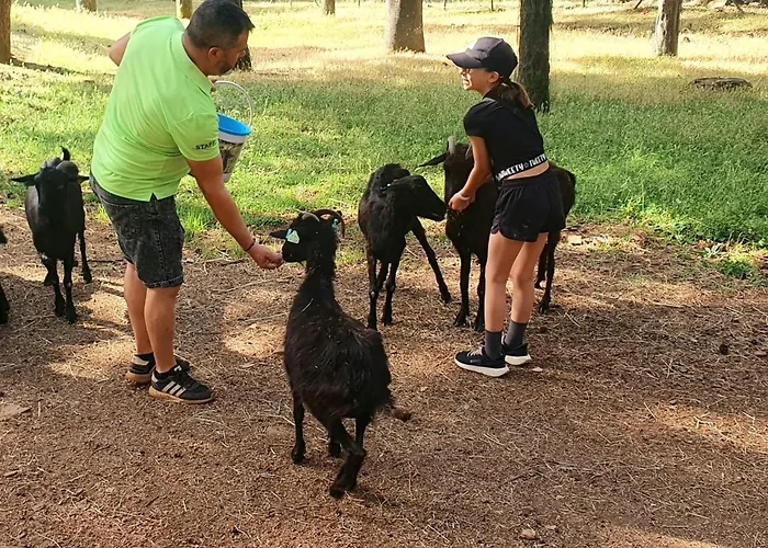 Кемпинг Parque Biologico De