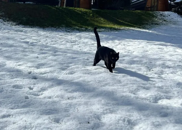 Parque Biologico De Виньяйш