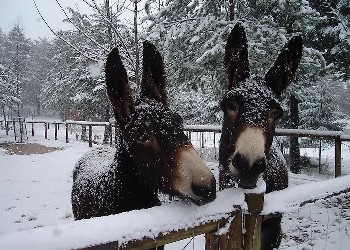 Parque de Campismo Parque Biologico De