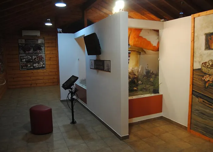 캠프장 Parque Biologico De 3*