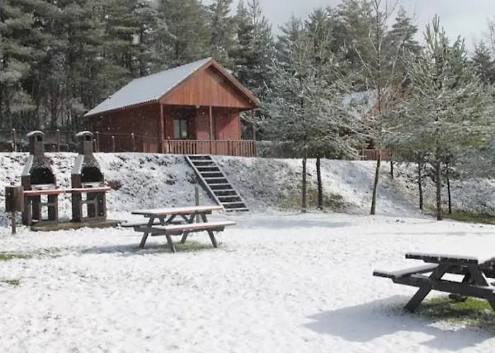 Parque Biologico De Кемпинг Виньяйш