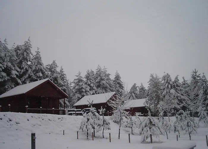 Parque Biologico De Кемпинг Виньяйш